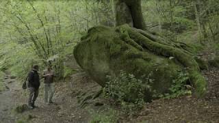 L'Homme des Bois à HUELGOAT avec Vincent Lauvergne