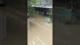 musibah banjir Aceh👍