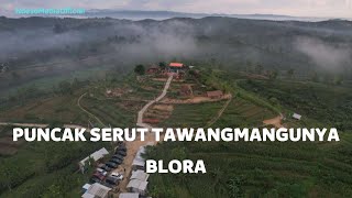 BUKIT SERUT SUGUHKAN PEMANDANGAN SEPERTI DI TAWANGMANGU