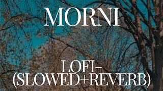 Morni - Lofi(Slowed+Reverb) | Raftaar X Sukh-E Ft. Bhumika Sharma | Soundous Moufakir | Avvy Sra