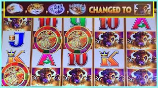 3 BONUS COINS and ALL ANIMALS to BUFFALO on SAME SPIN! 😮  Buffalo Gold Revolution