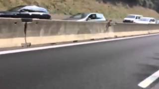 coda autostrada A9 8 agosto 2015