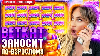 BetKat ЗАНОСИТ ПО-ВЗРОСЛОМУ в прямом эфире! заносы недели betkat