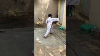 Evin practice Karate