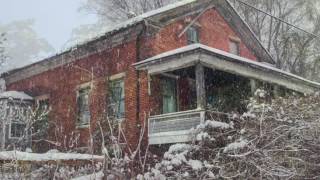 Overgrowth of an Abandoned Home