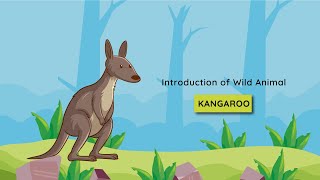 Let's Learn about Wild Kangaroo | Amazing Facts and Behaviors | Wild animals for Kids