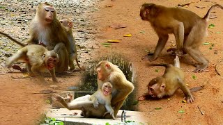 Monkey Lizza grab Angela's leg tried C ry call some help & Rainbow didn't want Luna catch &