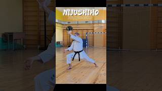 Excellent kata NIJUSHIHO | ВЫПОЛНЕНИЕ ката НИДЗЮСИХО в ТРАДИЦИОННОМ СТИЛЕ #karate #каратэ #карате