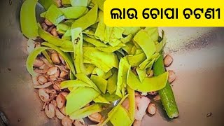 ଲାଉ ଚୋପା ର ଚଟଣୀ | how to make bottle gourd peel chutney | lauki peel chutney