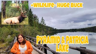 The Beautiful Patricia Lake and Pyramid Lake at Jasper National Park| ysay dale