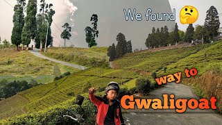 Gwaligoat Darjeeling / Lebong Vlog Part 2/ We foung place better than gwaligoat