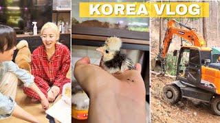 Почему ролики выходят редко? Наши корейские заботы ^^ /KOREA VLOG