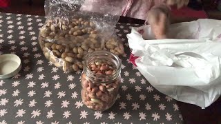 Homemade Peanut Butter - Step 1 of 2 - Shelling the Uncooked Peanuts -  No talking.  Relaxing video.