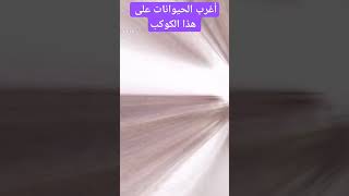 أغرب الحيوانات على هذا الكوكب#وثائقي #shortsvideo #shorts