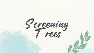 Looking to Buy Screening Trees?