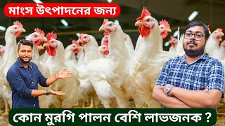 মাংস উৎপাদনের জন্য কোন মুরগি পালন বেশি লাভজনক পশ্চিমবঙ্গে ?.