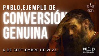 Pablo, ejemplo de Conversión Genuina | NDM | 6/09/2023