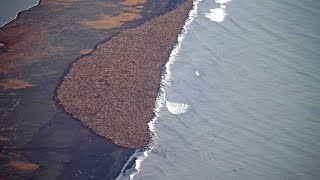 10 strani fenomeni naturali