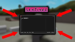 Sentinel Review | 15$ | Paid Exploit | OWLHUB?!