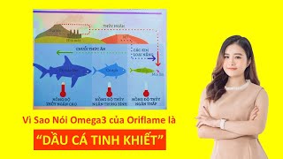 Vì Sao nói OMEGA3 của Oriflame là DẦU CÁ TINH KHIẾT ?