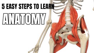 Anatomy is not tougher anymore | easy way to learn anatomy