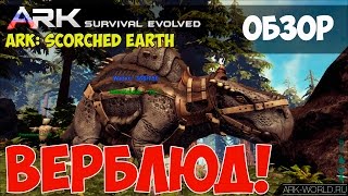 MORELLATOPS ARK: Scorched Earth Морелатопс Верблюд ОБЗОР!