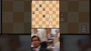 Brilliant move 2 #chess #chessgame #ali_sayed