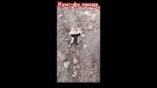 Кунг-фу панда 🐼🤸