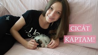 CICÁT KAPTAM! │ Emci Beauty