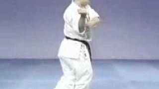 Kyokushin Pinan Kata Sono Go (5)