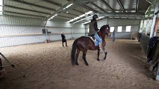 Anke Hawke teaches Chris Bahlo