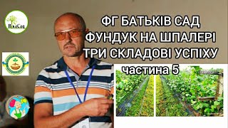 ФГ "Батьків сад" Вирощування фундука на шпалері інтенсивна технологія, штучне дозапилення частина 5