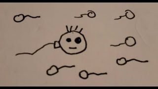 spermy the sperm: A funny cartoon: picking up cute chicks!