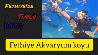 Fethiye/Akvaryum koyunda Tüplü dalış