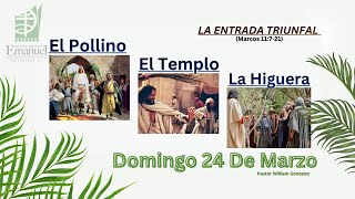 La Entrada Triunfal: El Pollino, El Templo, y La Higuera - Marcos 11:7-21 - Rev. William Gonzalez