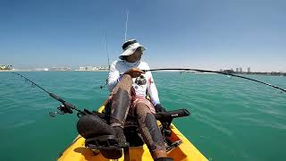 Fishing in Palm Jumeirah, Last minute Kingfish bite on livebait