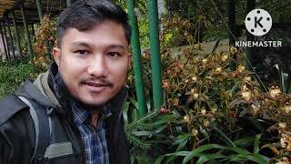 #Lloyd_Botanical_Garden #Orchid  #The Darjeeling Botanical Garden