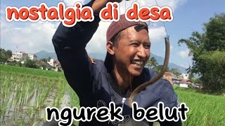 nostalgia di desa!!! mancing belut di hargai 1jt#nostalgiadidesa