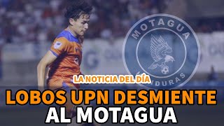 Noticia del día | Lobos UPN desmiente al Motagua