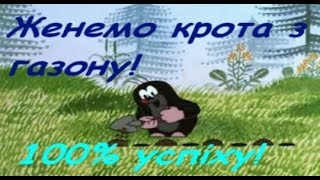 Женемо крота з газону!