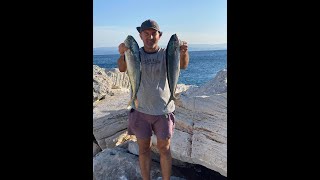 Fishing Mahi-Mahi, Dorado