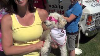 Comox Nautical Days Festival