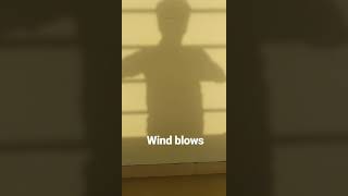 Wind blows at ssmiet