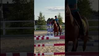 Честер🥰 #horse #кони #horseriding #конкур #лошади #equestrian #equestrianjumping #конюшня