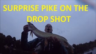 SURPRISE PIKE ON THE DROP SHOT