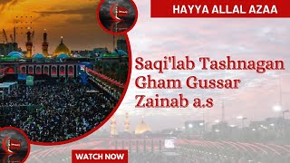 Saqi'lab Tashnagan Gham Gussar Zainab (a.s) (Marviha Sangat)