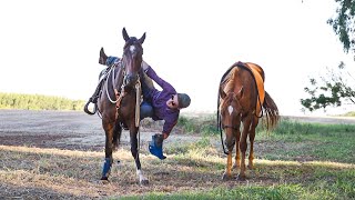 Saddle Swap Challenge!!! This Was So Hard!