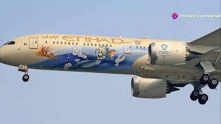 "Sky Art: The World’s Most Beautiful Airplane Liveries"