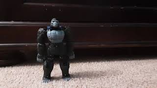 Optimus primal maximize