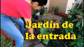 Limpieza del jardín de la entrada| Jardín pequeño